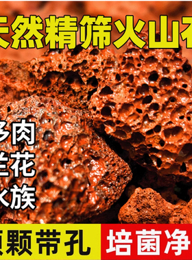 天然红色火山颗粒生态水族造景过滤4cm6cm火山石矿泉水桶专用滤材