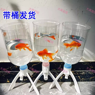 纯净水桶养鱼创意透明鱼缸矿泉水桶改造生态鱼缸自制饮水机桶养鱼