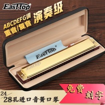 German imported reed harmonica, 24 holes, 28 holes, polyphonic accent, C key, senior adult quasi professional performance level harmonica