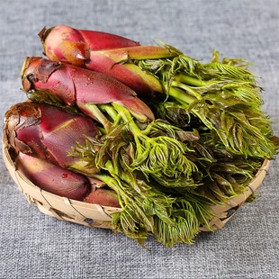 云南腾冲刺春头野菜刺老包刺嫩芽春天苦凉包凉拌煮汤炒腊肉顺丰送