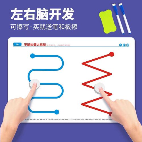 左右脑开发玩具幼儿童全脑思维训练专注力注意力精细动作锻炼教具