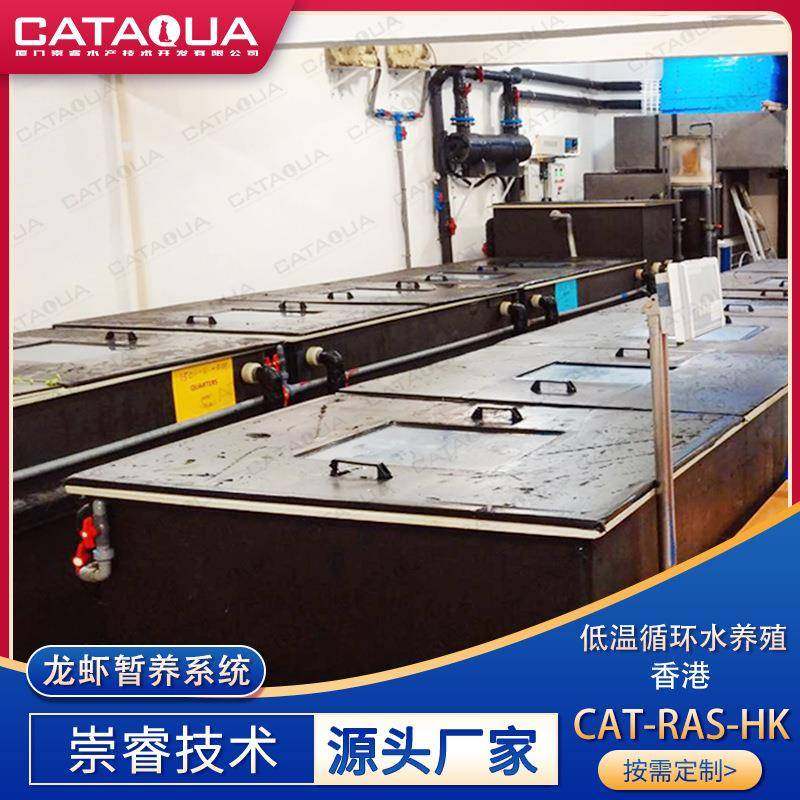 香港室内龙虾循环水养殖系统低温暂养水产养殖循环水处理设备,畜牧/养殖物资,特种养殖设备,淘宝优惠券,粉丝福利购,淘宝优惠卷