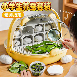 德国蚕宝宝三年级养蚕全套工具蚕卵学生蝉宝宝幼虫饲养盒套装桑叶