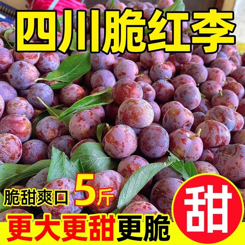 正宗四川脱骨李小脆红茵红李新鲜应季水果农家空心土李子现摘现发