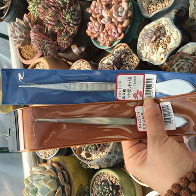 1318 KIKUWA喜久和园艺用镊子 弯头直头 日本产多肉枯叶种花夹子