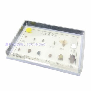 43150昆虫标本教学仪器6益6害中学生物教学模型生物标本实验器材