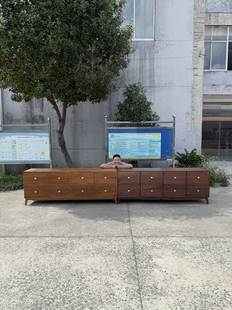 北美黑胡桃木缅甸柚木斗柜卧室储物柜靠墙收纳柜边柜实木八斗柜