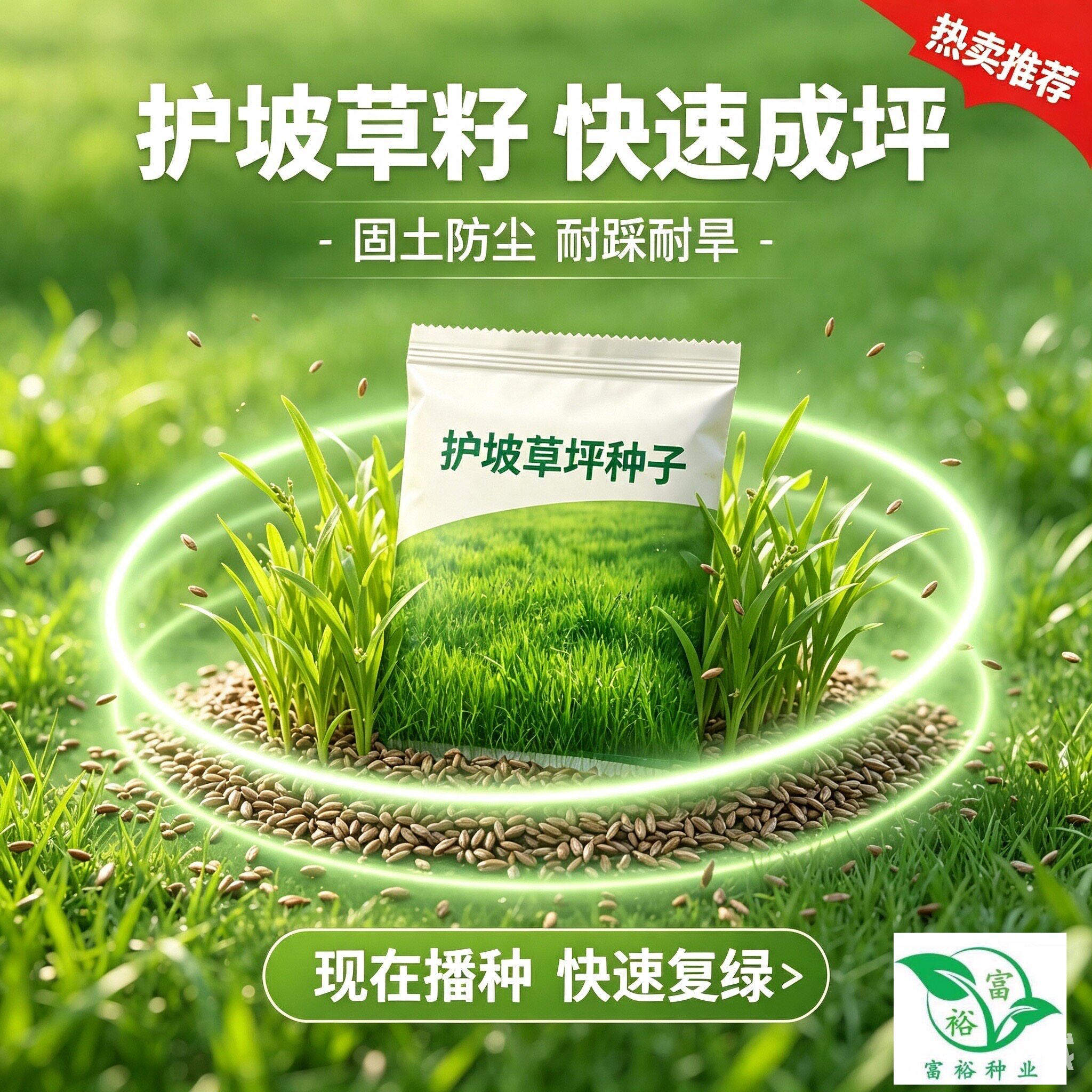 护坡固土复绿草籽工程绿化草种子