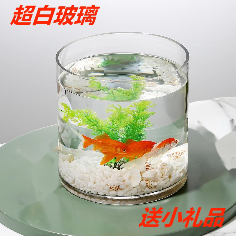 超白加厚圆柱形口不割手直筒透明玻璃金鱼缸客厅大号落地水培桌面