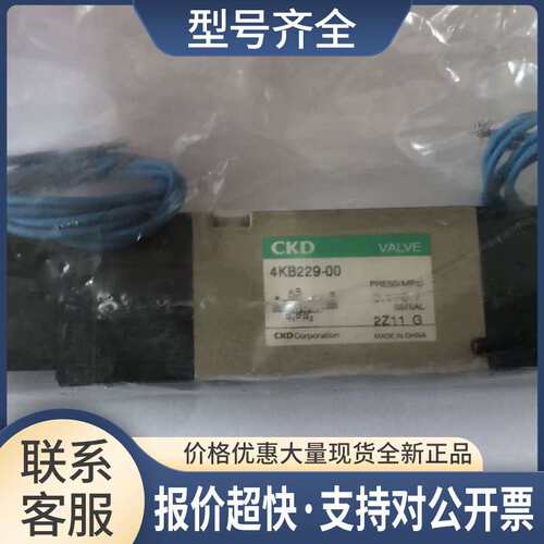 4KB229-00 AC100V 110V60HZ 电磁阀 DC24V AC220V议价