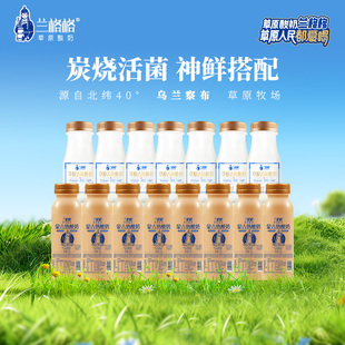 15瓶内蒙特产奶户外便携装 兰格格酸奶草原活菌酸奶 熟酸奶210g