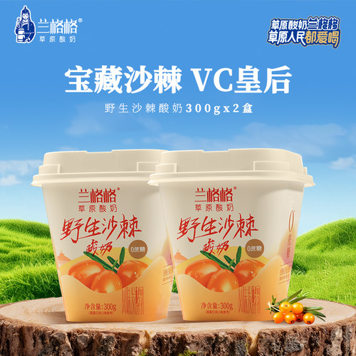 兰格格草原酸奶野生沙棘300g*2杯0蔗糖低温沙棘味酸奶