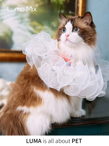 Lumamix Four Seasons Light Blind Blind Cat Sweed Water Waters Tisters одежда Elizabeth Circle Deworm