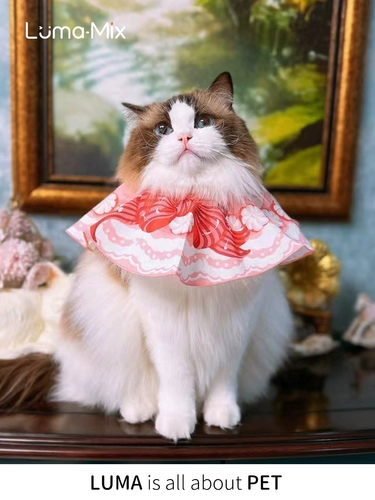 Lumamix Four Seasons Light Blind Blind Cat Sweed Water Waters Tisters одежда Elizabeth Circle Deworm