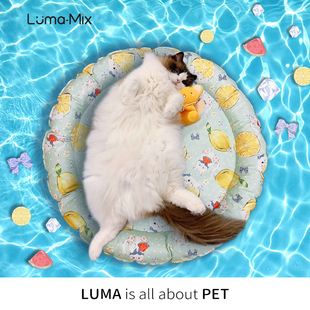 原创宠物冰窝猫咪夏天凉窝狗窝夏季 LumaMix盒几 冰垫凉席垫子防水