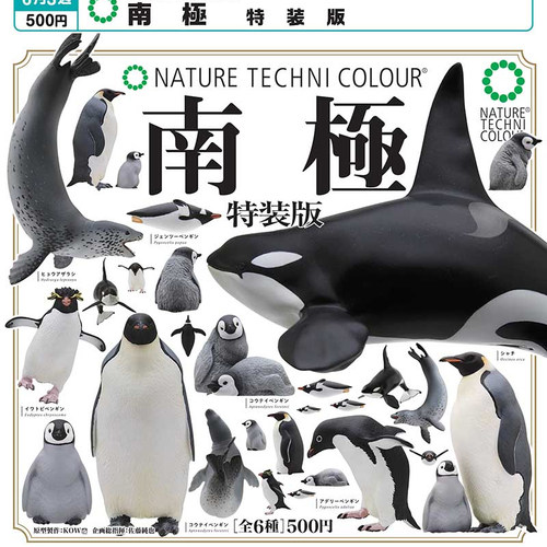 正版 IKIMON 扭蛋 NTC南极生物图鉴特装版生物图鉴 企鹅鲸鱼 现货