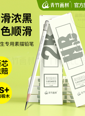 青竹流光白素描铅笔2B4B14B炭笔美术生专用速写笔套装初学者绘画hb6b8b10b12b工具画画绘图软中硬考试用画笔