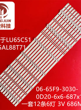 灯条06-65F9-3030-0D20-6x6-