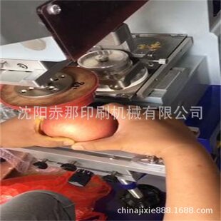 辽宁大连瓦房店鞍山丹东苹果印字机贴字机沈阳圣诞果平安果打字机