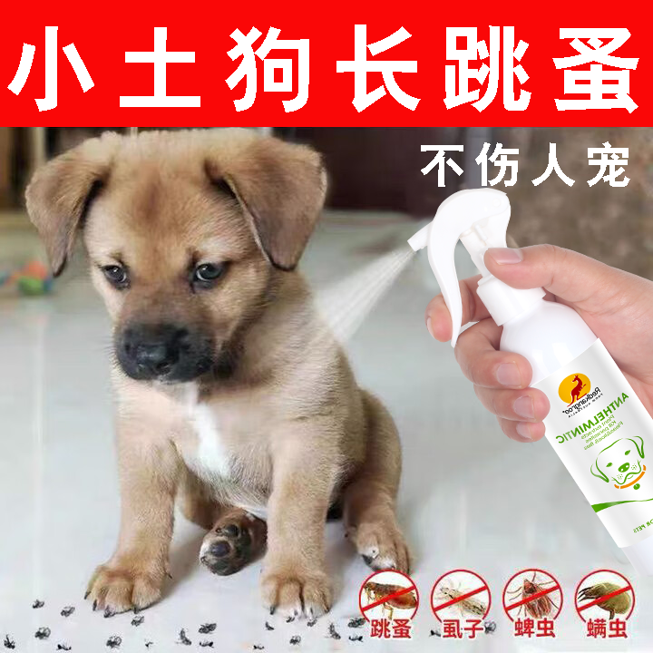 小土狗驱虫药去跳蚤虱子蜱虫成幼犬田园犬体外驱虫喷雾剂驱虫止痒,宠物/宠物食品及用品,皮肤喷剂,淘宝优惠券,粉丝福利购,淘宝优惠卷