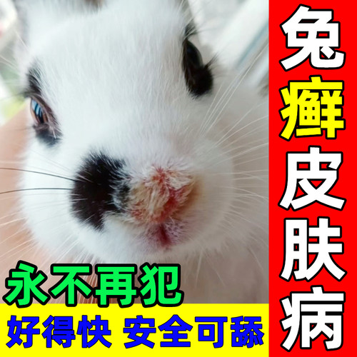 专治兔子各种皮肤病无效果马上退
