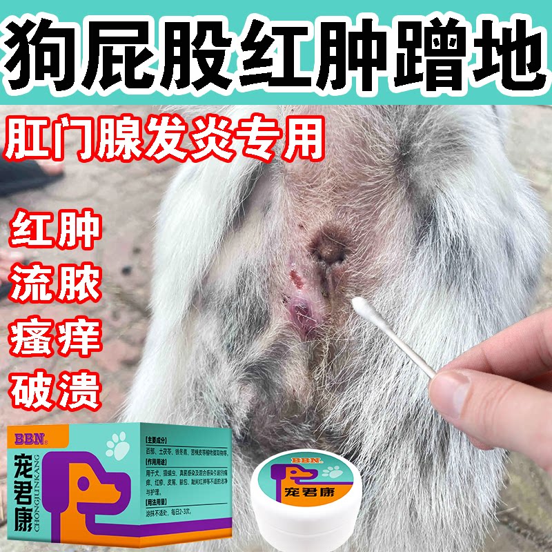 狗狗屁股发炎红肿肛门腺炎药膏肛周红肿流脓屁股瘙痒蹭地抑菌止痒