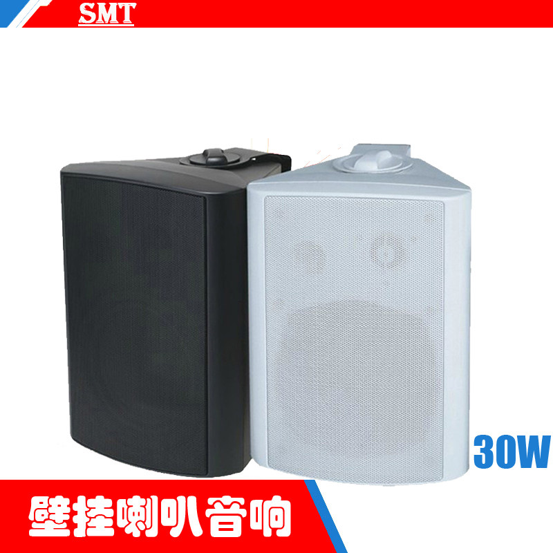 smt壁挂喇叭音响30W 多媒体广播会议室豪华室内挂壁定压音箱套装