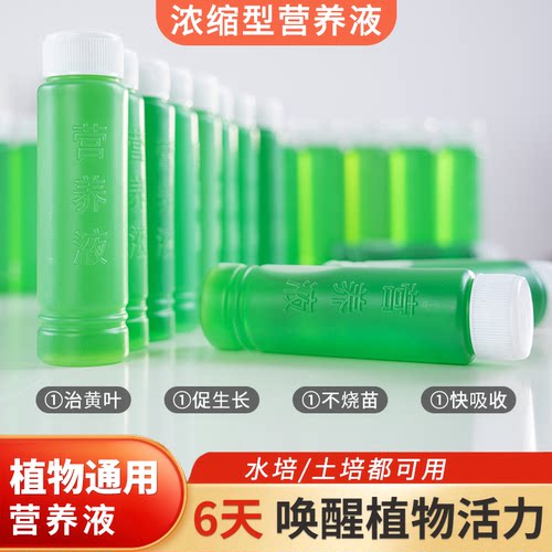 植物营养液通用型家用盆栽养花富贵竹发财树多肉花肥水培室内园艺