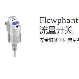非实价议价议价E+H Flowphant? T DTT31 流量开关 DTT31-A2A111AB