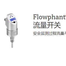 非实价议价议价E+H Flowphant? T DTT31 流量开关 DTT31-A2A111AB