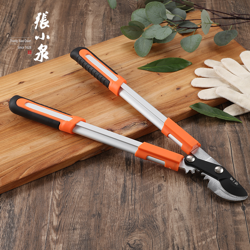 張小泉修剪樹枝剪刀枝果樹