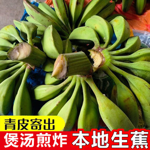 Plantain广东大蕉芭蕉生巴蕉Plantains未成熟生青banana fufu for