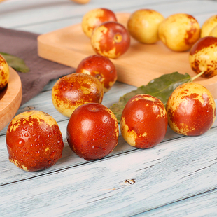 枣子树苗嫁接苗沾化冬枣当年结果盆栽地栽冬枣果大味甘甜耐储存