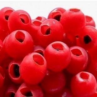 红豆杉种子易种活抗性强当年新采的红豆杉种子北方南方红豆杉树种