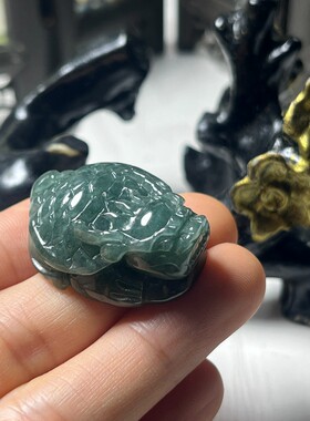 天然翡翠玉石龙龟吊坠 正品翡翠玉龙头龟雕件 玉器挂件送证书