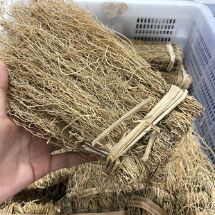 云南野生护草中药材养龙须草开胃草肝经丝线根汤料泡茶