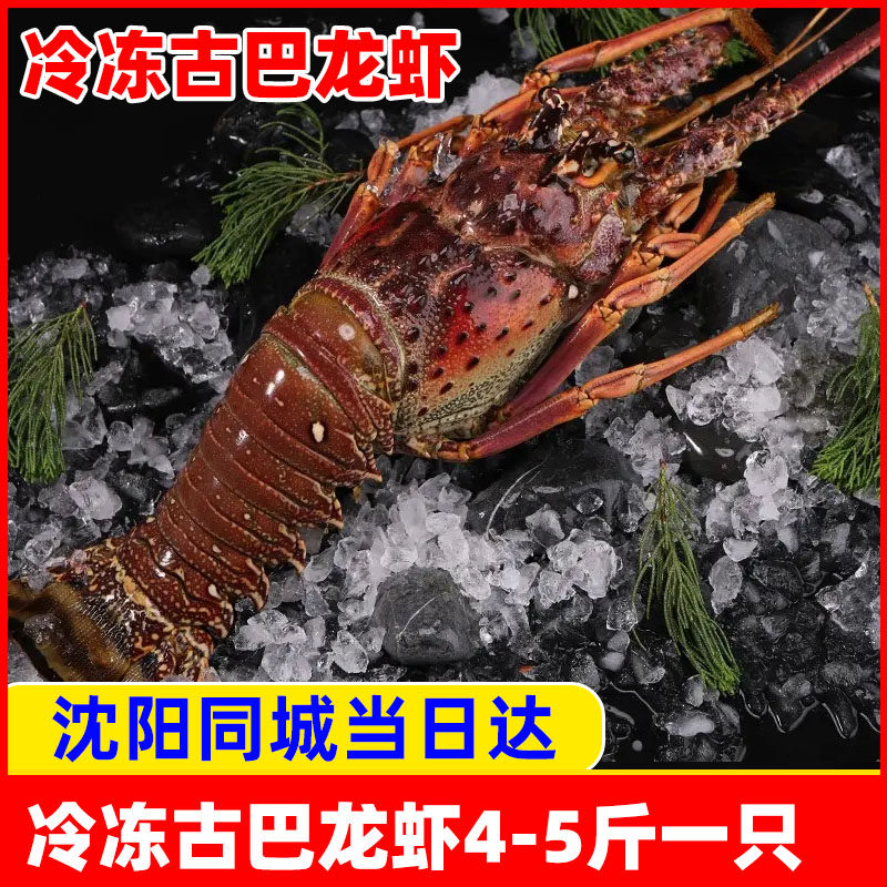 冷冻古巴龙虾一直蓝箱红箱年货海鲜送礼单位福利新年舟山辽宁沈阳