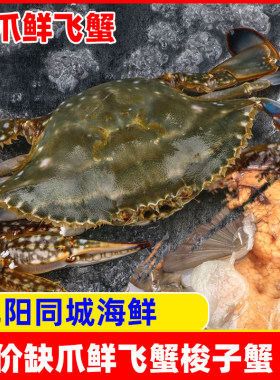 特价缺大爪飞蟹东港东沟梭子蟹两只一只3到5两辽宁沈阳保鲜不保活