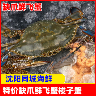 特价缺大爪飞蟹东港东沟梭子蟹两只一只3到5两辽宁沈阳保鲜不保活
