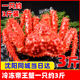 熟冻鲜活水产冷冻海鲜帝王蟹约3斤螃蟹沈阳同城送礼节日新年