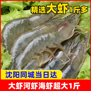 大虾河虾海虾活虾皮皮虾特大海鲜大连鲜水产一斤装辽宁保鲜不保活