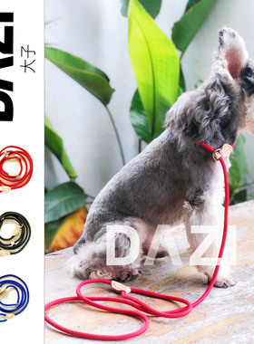 宠物脖链中小型狗狗调节型轻便牵绳红色蓝色黑色引绳猫牵引绳三色