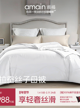 雅棉amain酒店赫拉蚕丝子母被秋冬被子保暖双人被芯1.8m床桑蚕丝