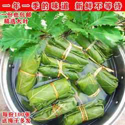 新鲜粽子叶菠萝叶槲叶大号胡叶伯乐叶柞树玻璃叶饼桲楞叶子送线绳