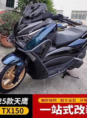 适用25款天鹰TX150/250护杠保险杠防摔排气杠TY150T-28D改装尾架
