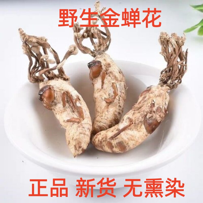 中药材金蝉花野生新货知了花正品蝉花泡水泡酒图片