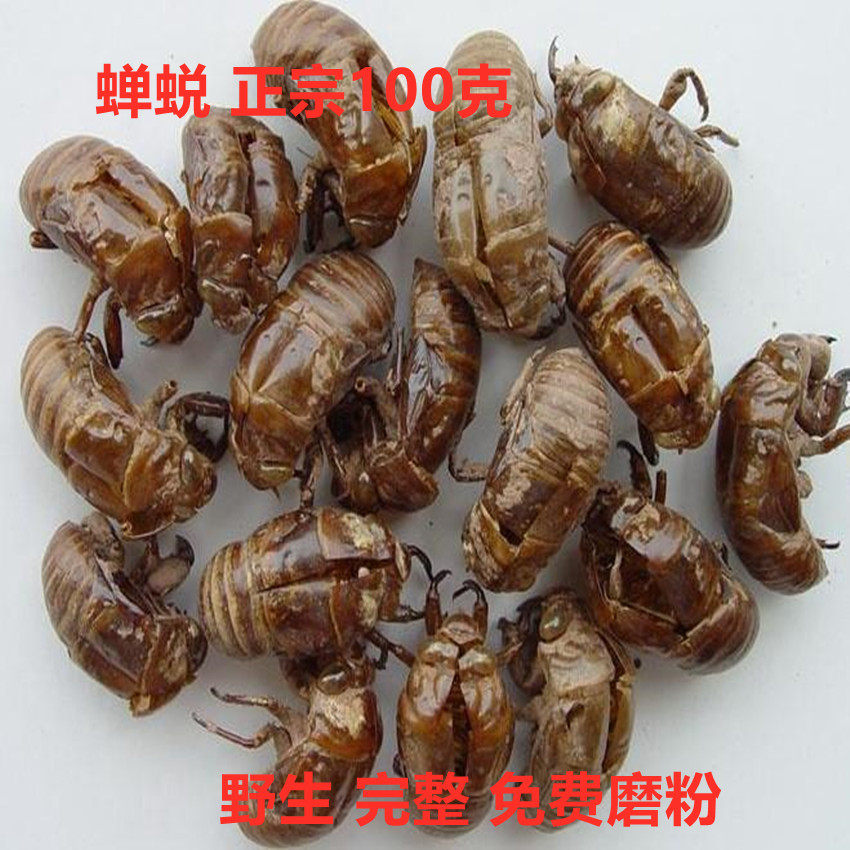 野生知了皮蝉蜕中药材包邮