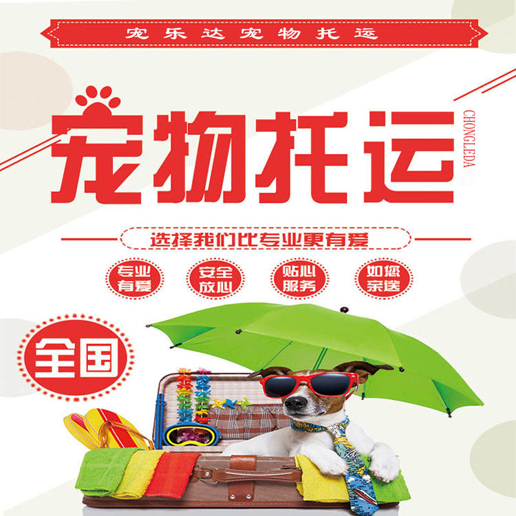 宠物托运猫咪托运狗狗邮寄服务航宠物托运