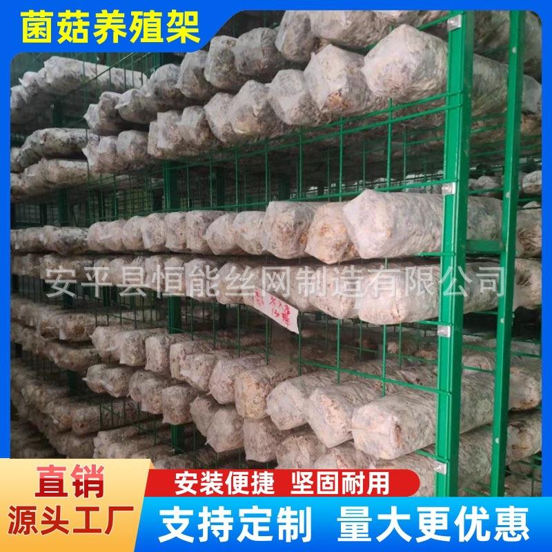 食用菌出菇架厂家发菌房培菌架杏鲍菇出菇网格香菇秀珍菇养殖架子