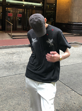 BUFANSTUDIO红星独角兽刺绣复古美式宽松条纹短袖T恤夏季休闲情侣